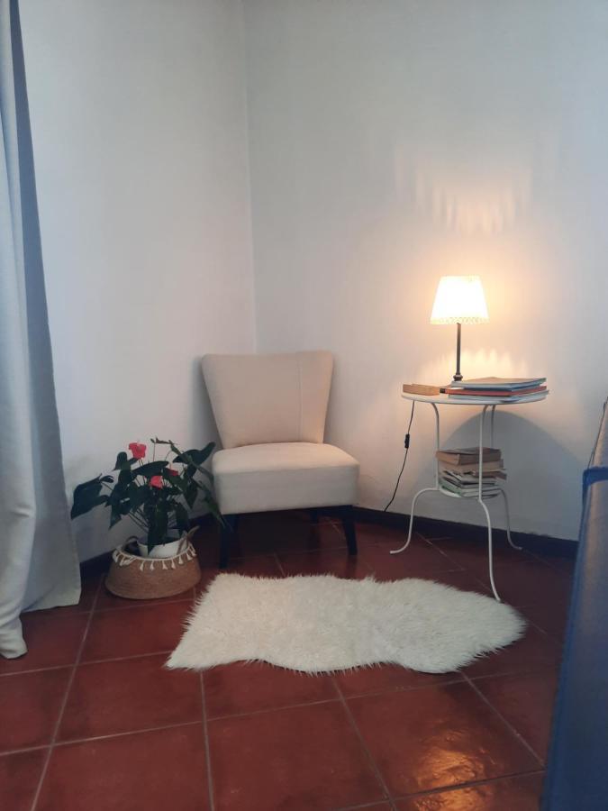 Casa Das Camelias Aveiro Exteriör bild